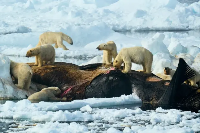 #Positive Effect Newsletter novembre 2025