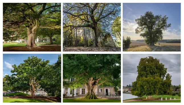 #Positive Effect Newsletter décembre 2025