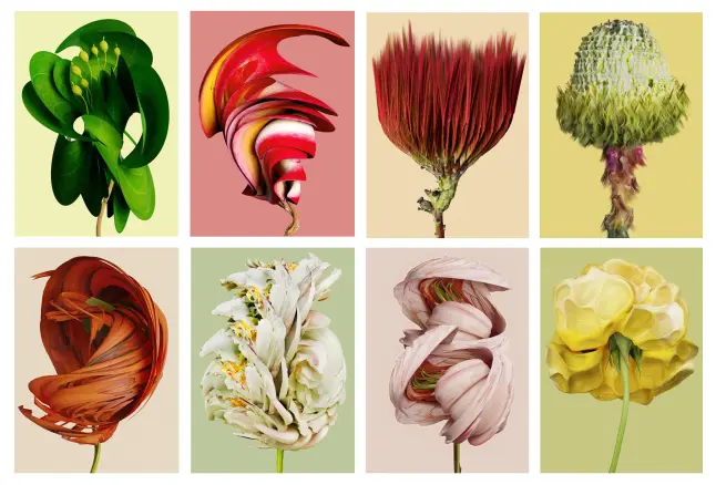 #Positive Effect Newsletter février 2026